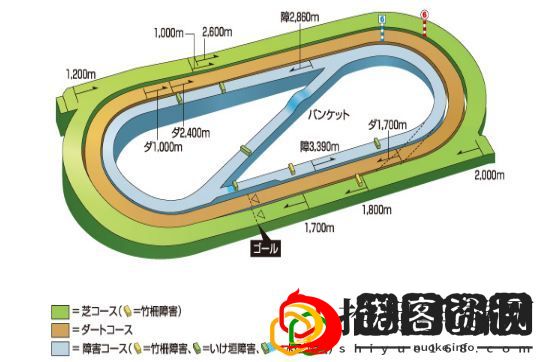 赛马娘手游竞马场坡道有哪些