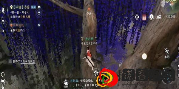 奇遇攻略大全 游戏中最强装备推荐