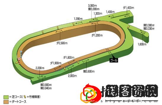 赛马娘手游竞马场坡道有哪些
